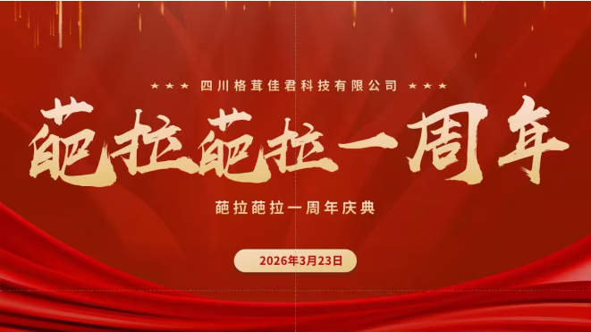 葩拉葩拉周年庆典
